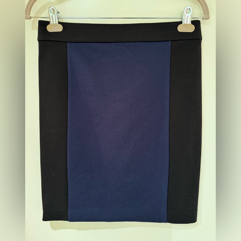 Club Monaco skirt